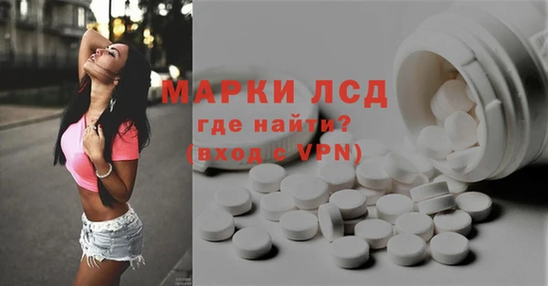 ПСИЛОЦИБИНОВЫЕ ГРИБЫ Алзамай