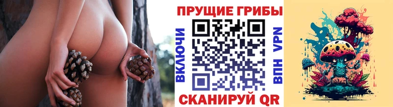Псилоцибиновые грибы MAGIC MUSHROOMS Камбарка